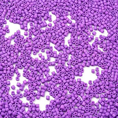 Baking Paint Glass Seed Beads SEED-S042-05B-72-1