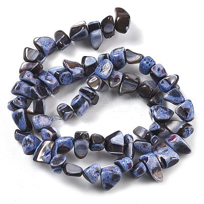 Dyed Natural Trochus Shell Beads Strands BSHE-Z006-01C-1
