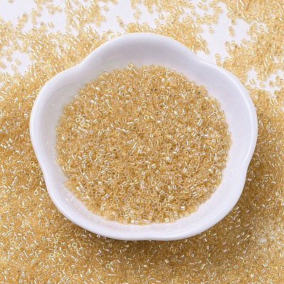 MIYUKI Delica Beads SEED-X0054-DB0100-1