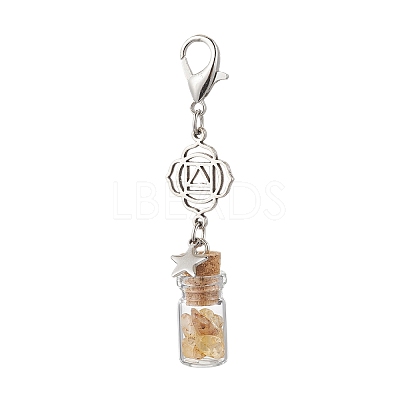 Chakra Natural Lapis Lazuli & Amethyst & Carnelian & Citrine & Garnet & Green Aventurine & Synthetic Turquoise Chips inside Glass Wishing Bottle Pendant Decoration HJEW-JM03308-1