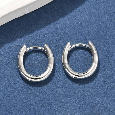 Oval Brass Hoop Earrings EJEW-D320-09P-1