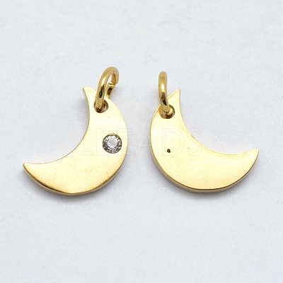 316 Surgical Stainless Steel Pendants STAS-K178-10G-1