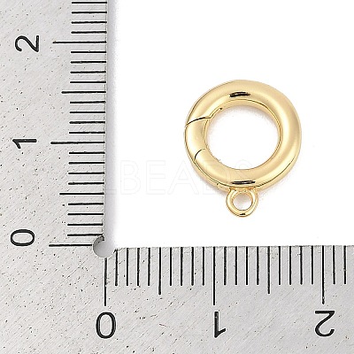 Brass Spring Gate Clasps KK-M311-25G-02-1