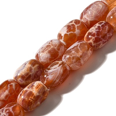 Natural Fire Crackle Agate(Dyed & Heated) Beads Strands G-H091-C03-01-1