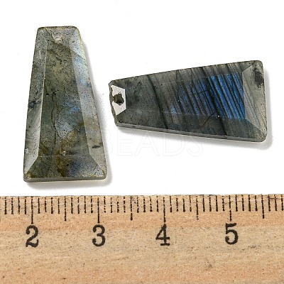 Natural Labradorite Pendants G-G123-02D-1