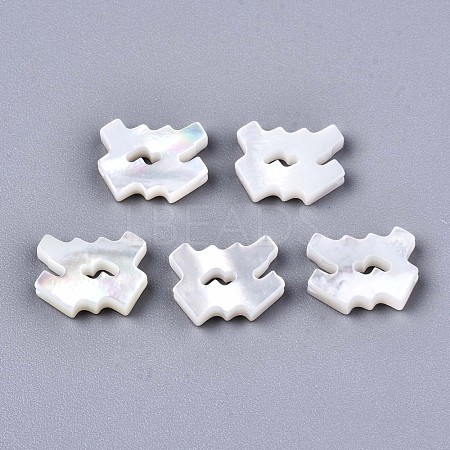 Natural White Shell Beads X-SSHEL-ZX004-02L-1