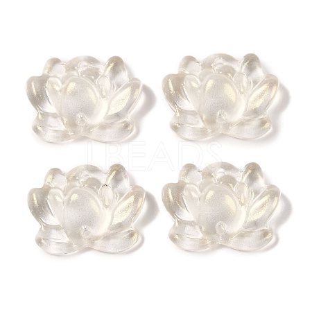 Baking Paint Glass Beads GLAA-S202-13F-1