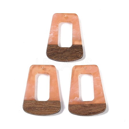 Resin & Wood Pendants WOOD-F015-11B-1
