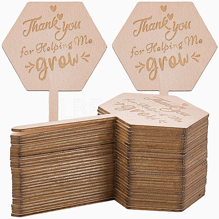 30Pcs Wooden Plant Labels DIY-GF0014-19B-1