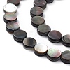 Natural Black Lip Shell Beads SHEL-M018-17-3