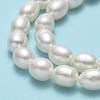 Natural Cultured Freshwater Pearl Beads Strands PEAR-J006-17B-01-4