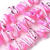 Dyed Natural Trochus Shell Beads Strands SSHEL-C013-09E-1