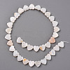 Natural Freshwater Shell Beads Strands X-SHEL-R144-25-2