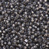 MIYUKI Round Rocailles Beads X-SEED-G007-RR0650-3