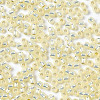 TOHO 11/0 Round Beads SEED-XTR11-2125-3