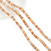  3 Strands Natural Shell Beads Strands SSHEL-NB0001-44B-1
