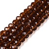 Glass Beads Strands EGLA-A044-T6mm-D02-1