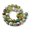 Natural Green Cherry Blossom Agate Beads Strands G-NH0061-A01-12mm-3