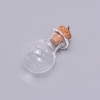 Empty Glass Wishing Bottle Pendants GLAA-WH0025-07-2