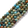 Dyed Natural Regalite/Imperial Jasper/Sea Sediment Jasper Beads Strands X-G-B124-C02-06-1