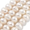 Natural Cultured Freshwater Pearl Beads Strands PEAR-C003-19C-1