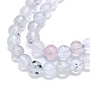 Natural Lepidolite Beads Strands G-G106-P01-03-3