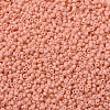MIYUKI Round Rocailles Beads X-SEED-G007-RR4461-3