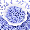 Opaque Baking Paint Glass Seed Beads SEED-T008-02R-2