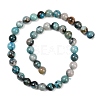 Natural Chrysocolla Beads Strands G-K405-B01-12mm-4
