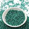 Glass Seed Beads X-SEED-S042-04B-29-2