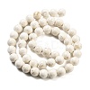 Natural Fossil Beads Strands G-H026-02C-3