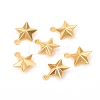 304 Stainless Steel Charms STAS-L244-37G-1