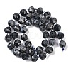 Natural Larvikite Beads Strands G-G182-B38-03-3