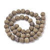Natural Elephant Skin Jasper/Miriam Stone/Calligraphy Stone Beads Strands X-G-T106-125-3