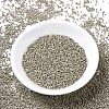 MIYUKI Delica Beads SEED-X0054-DB1168-2
