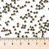 TOHO Round Seed Beads SEED-JPTR08-1705-4