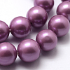 Polished Round Grade A Shell Pearl Bead Strands LS-BSHE-M027-6mm-11-2