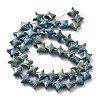 Electroplated Natural Lava Rock Beads Strands G-A251-C01-01J-1