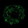 Natural Fluorite Beads Strands G-I308-05B-01-4