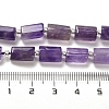 Natural Amethyst Beads Strands G-N327-06-18-5