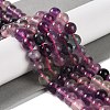 Natural Fluorite Beads Strands G-P530-B09-03-2