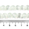 Natural Selenite Beads Strands G-C142-01A-06-5
