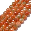 Natural Malaysia Jade Beads Strands G-L645-C01-10mm-29-1