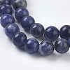 Natural Sodalite Beads Strands X-G-E110-6mm-3-3