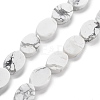 Natural Howlite Beads Strands G-P559-B05-01-1