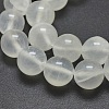 Natural Selenite Beads Strands G-G792-24E-3