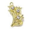 Alloy Rhinestone Pendants PALLOY-F312-51G-01-1