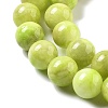 Natural Persian Jade Beads Strands G-A255-A02-02B-3