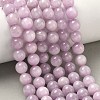 Natural Kunzite Beads Strands G-D856-03-8mm-7