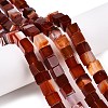Natural Red Agate(Dyed & Heated) Beads Strands G-T139-8x8-35A-1